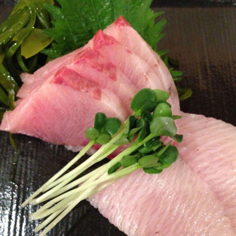 Yellow tail