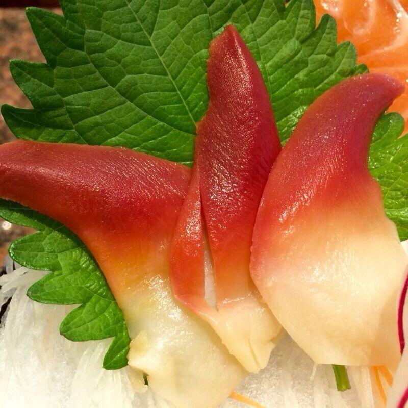 Surf shell clam
