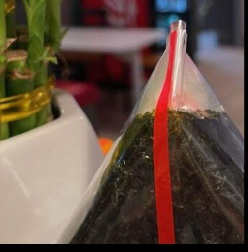 Salmon. Onigiri