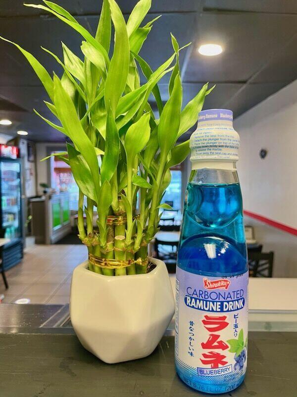 Japanese Soda (Blueberry)