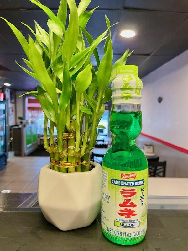 Japanese Soda (Melon)